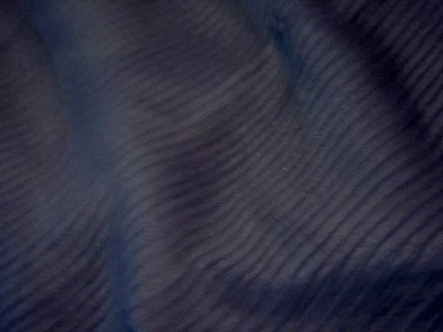 Pleated Chiffon
