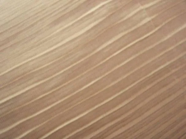 Pleated Chiffon