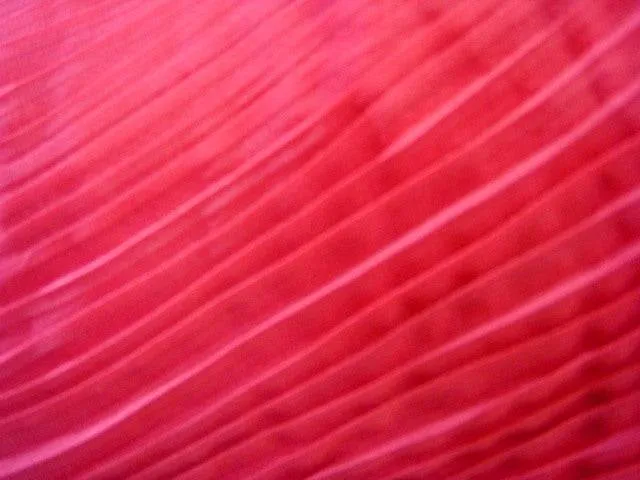 Pleated Chiffon