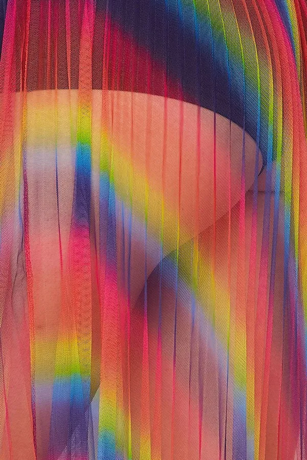 Rainbow Pleated Sheer Maxi Skirt - Multicolor