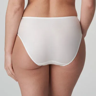 Silky Satin Full-Coverage Briefs